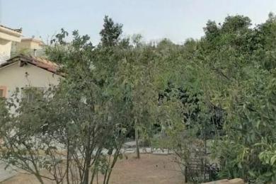 Agia Paraskevi, Plot, Sale, 78 sq.m