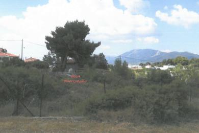 Plot Sale - Anthousa, East Attica